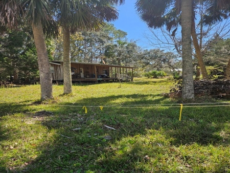 Hodges in Munden Creek